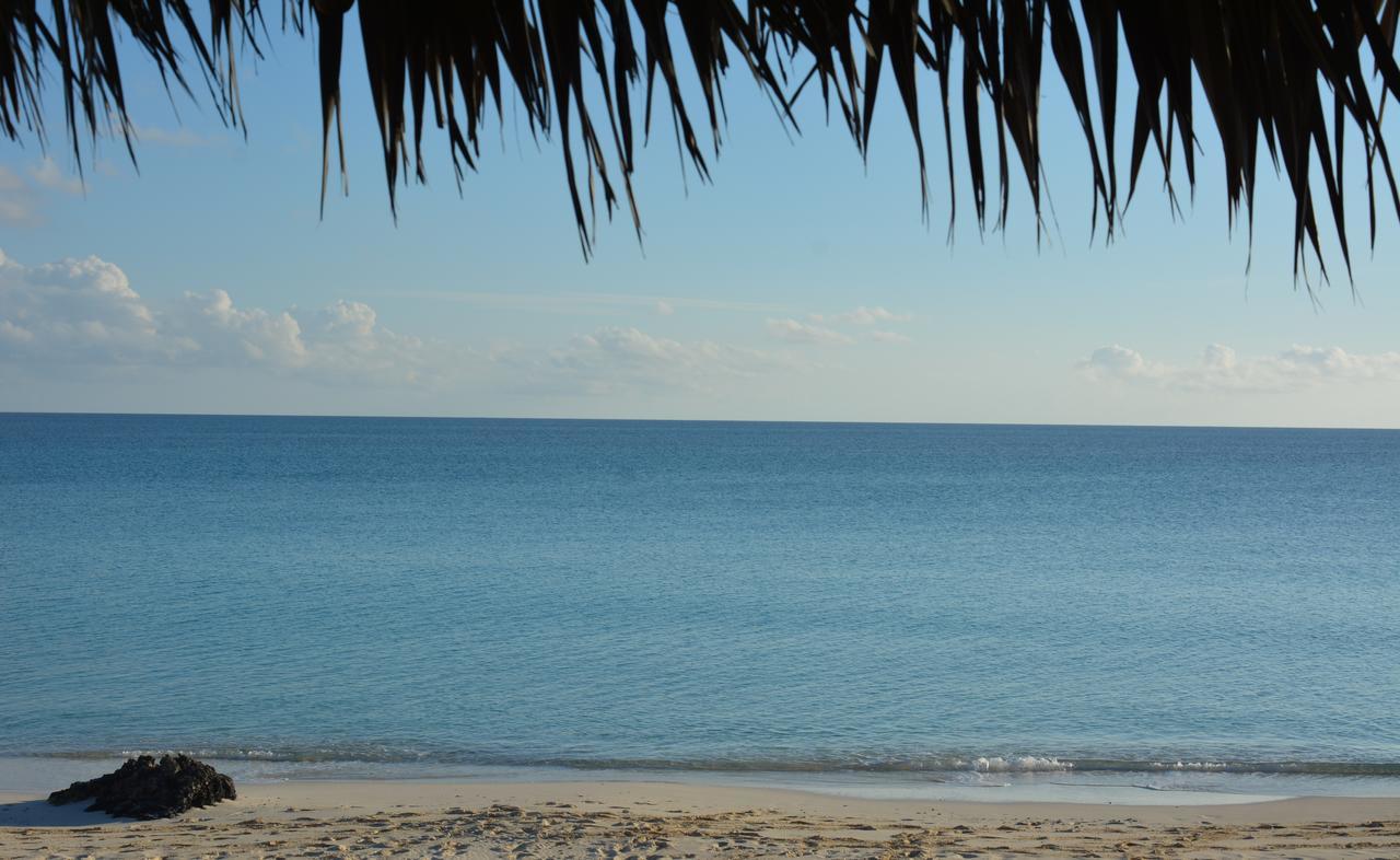 Pigeon Cay Beach Club Arthur Town Extérieur photo