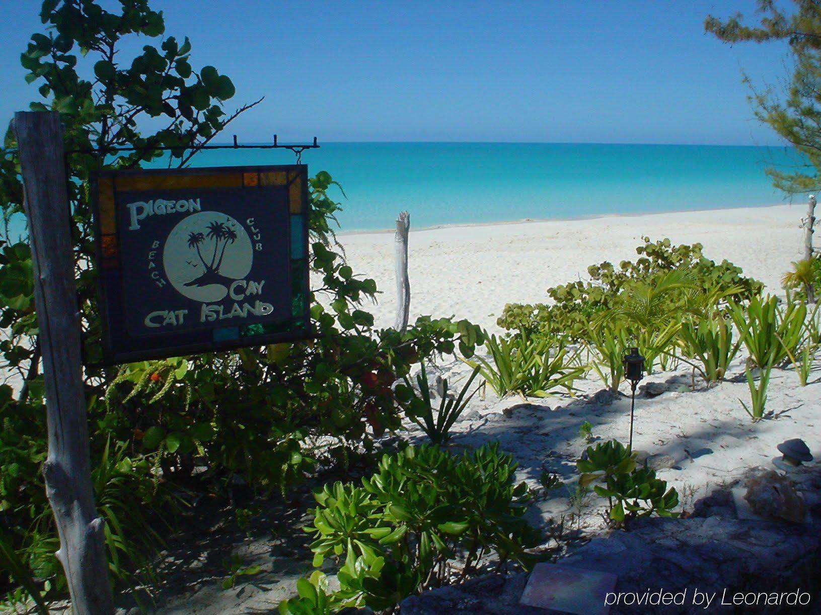Pigeon Cay Beach Club Arthur Town Extérieur photo